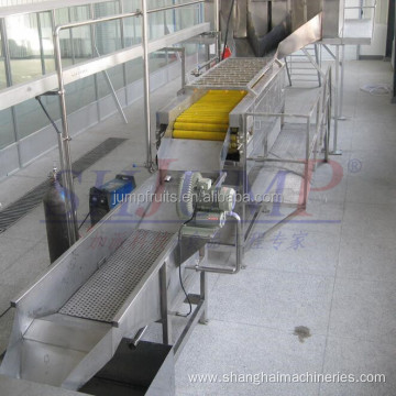 Industrial fruit and vegetable washing and drying machine